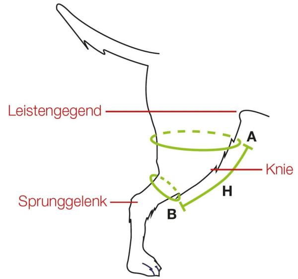 Kniebandage für Hunde bei Entzündungen - Balto Sport Agile Compression Wrap